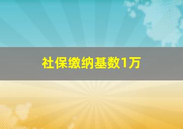 社保缴纳基数1万