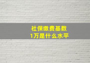 社保缴费基数1万是什么水平