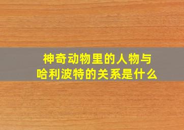 神奇动物里的人物与哈利波特的关系是什么