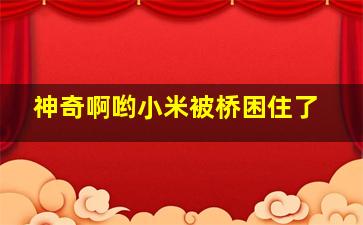 神奇啊哟小米被桥困住了