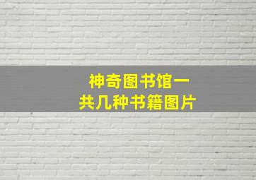 神奇图书馆一共几种书籍图片