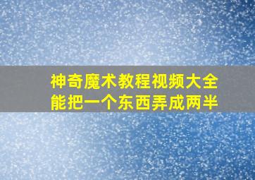 神奇魔术教程视频大全能把一个东西弄成两半