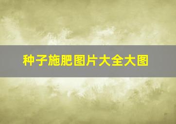 种子施肥图片大全大图