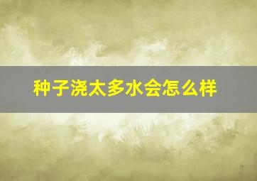 种子浇太多水会怎么样