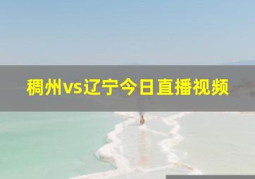 稠州vs辽宁今日直播视频