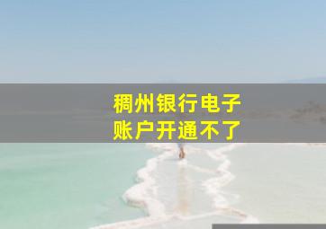 稠州银行电子账户开通不了