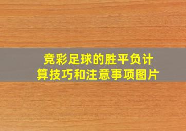 竞彩足球的胜平负计算技巧和注意事项图片