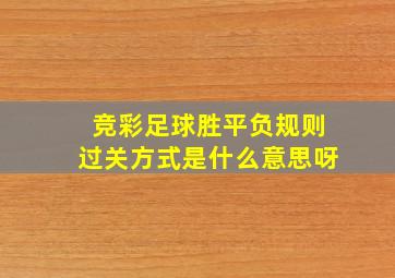 竞彩足球胜平负规则过关方式是什么意思呀