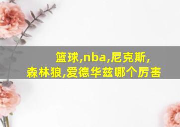 篮球,nba,尼克斯,森林狼,爱德华兹哪个厉害