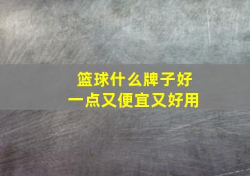 篮球什么牌子好一点又便宜又好用