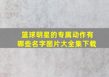 篮球明星的专属动作有哪些名字图片大全集下载