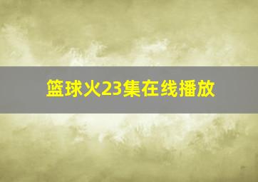 篮球火23集在线播放