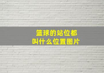 篮球的站位都叫什么位置图片