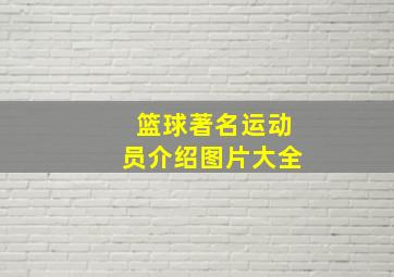 篮球著名运动员介绍图片大全