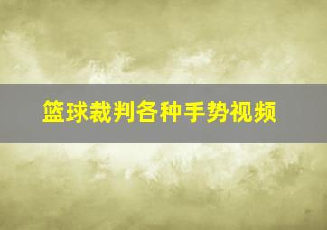 篮球裁判各种手势视频