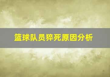 篮球队员猝死原因分析