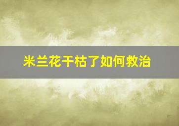 米兰花干枯了如何救治