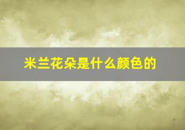 米兰花朵是什么颜色的