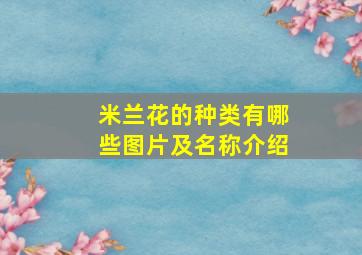 米兰花的种类有哪些图片及名称介绍