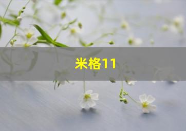 米格11