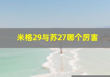 米格29与苏27哪个厉害