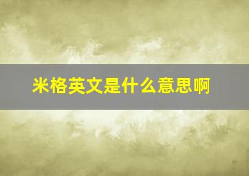 米格英文是什么意思啊