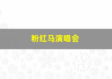 粉红马演唱会