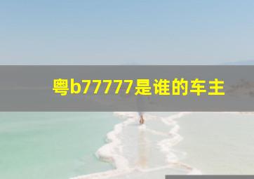 粤b77777是谁的车主