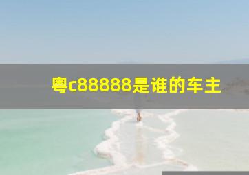 粤c88888是谁的车主