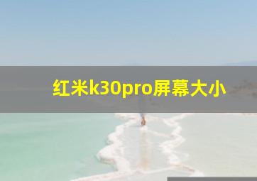 红米k30pro屏幕大小