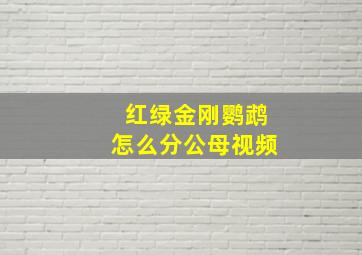 红绿金刚鹦鹉怎么分公母视频