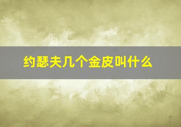 约瑟夫几个金皮叫什么