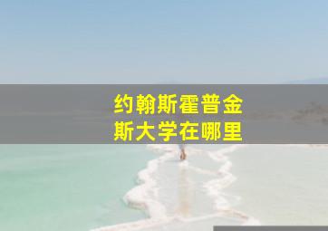 约翰斯霍普金斯大学在哪里