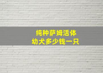 纯种萨姆活体幼犬多少钱一只