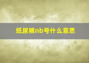 纸尿裤nb号什么意思