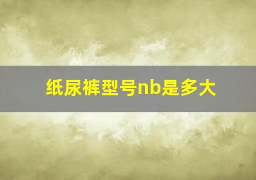 纸尿裤型号nb是多大