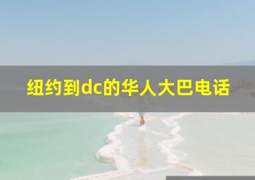 纽约到dc的华人大巴电话