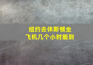 纽约去休斯顿坐飞机几个小时能到