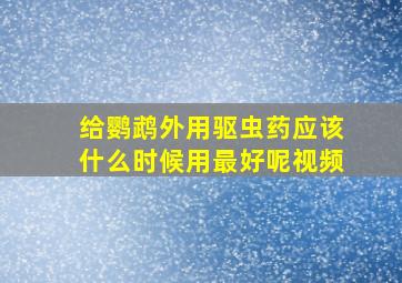 给鹦鹉外用驱虫药应该什么时候用最好呢视频