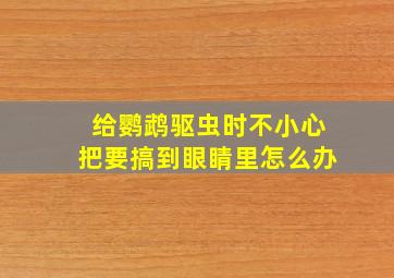 给鹦鹉驱虫时不小心把要搞到眼睛里怎么办