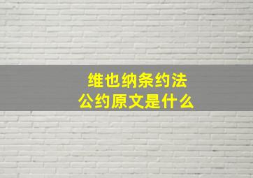 维也纳条约法公约原文是什么