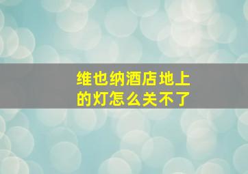 维也纳酒店地上的灯怎么关不了