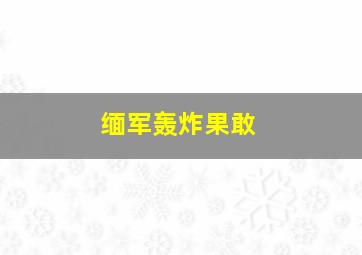 缅军轰炸果敢