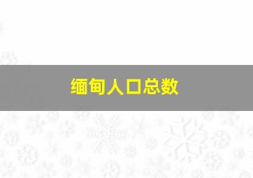 缅甸人口总数