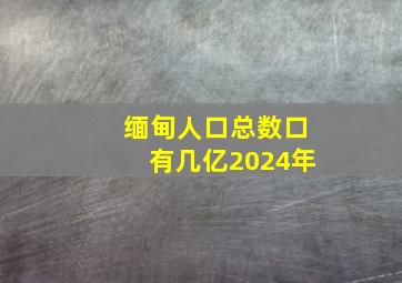 缅甸人口总数口有几亿2024年