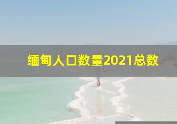 缅甸人口数量2021总数