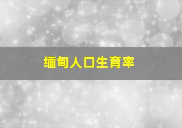 缅甸人口生育率