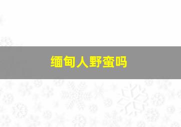 缅甸人野蛮吗