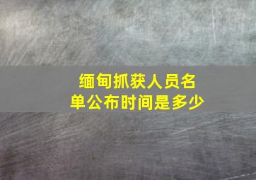 缅甸抓获人员名单公布时间是多少