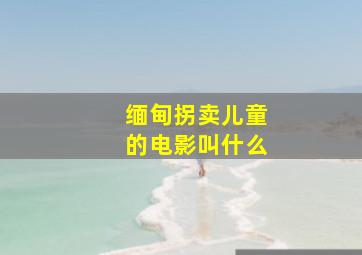 缅甸拐卖儿童的电影叫什么